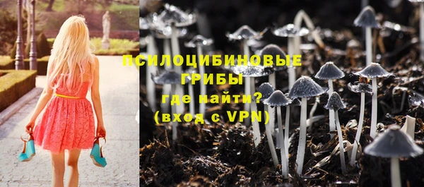 СК Навашино