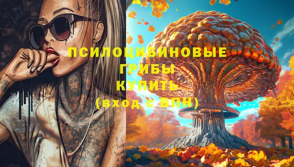 apvp Нея