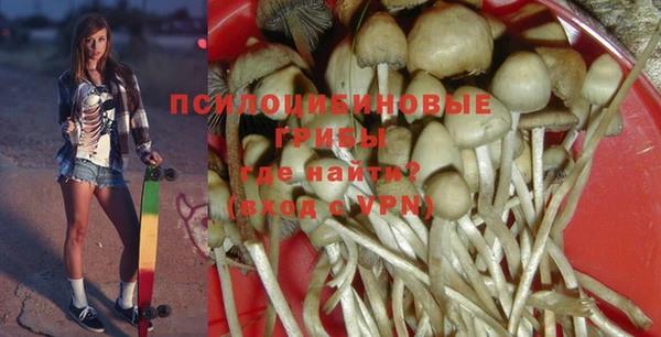 СК Навашино