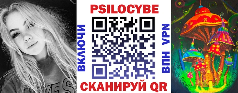 закладки  Анива  Галлюциногенные грибы прущие грибы 